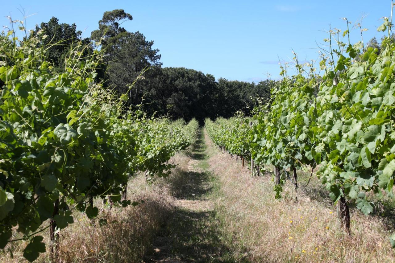 Quinta De Chousas - Braga - Agroturismo Eksteriør bilde