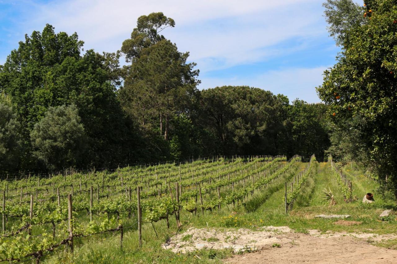 Quinta De Chousas - Braga - Agroturismo Eksteriør bilde